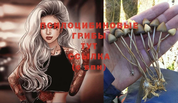 кокаин Горнозаводск