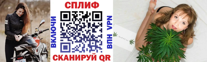 Купить закладки  Приволжский  Каннабис планчик 